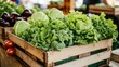 © keenan - Fresh Green Leafy Vegetables in Wooden Crate at a Market Stall
