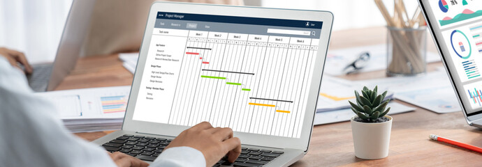 Fototapete - Project planning software for brisk business project management on the computer screen showing timeline chart of the team project