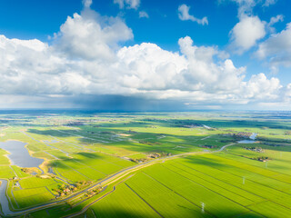 Wall Mural - field with rivers. drone view of the land. cloudscape. road through the field. nature. field with gr