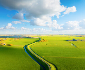 Wall Mural - drone view of a road with curves. road through the field. image for wallpaper, background, postcard.