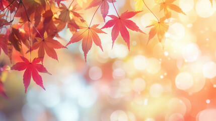 Naklejka na meble Vibrant Autumn Leaves with Bokeh Effect and Warm Glow Background
