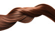 © Infinity Lens - Straight long brown hair from back view, hair styling, isolated on transparent background.