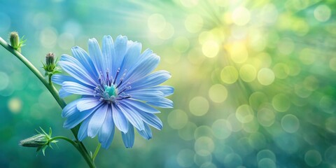 Wall Mural - A Single Delicate Blue Flower Blossom in a Soft, Dreamy Garden Setting
