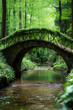 © Steven - A picturesque stone bridge covered in ivy arches over a tranquil stream in a lush green forest, creating a serene and enchanting natural setting.