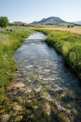 Wall Mural - A serene mountain stream flows gently through lush green fields, framed by distant peaks under a clear blue sky, capturing the tranquility and beauty of nature.