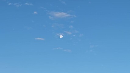Wall Mural - full moon on blue sky