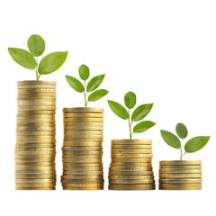 Poster - Stacked golden coins in a progressive column formation symbolizing increasing financial growth wealth and prosperity  The detailed engraved coins have a polished metallic shine
