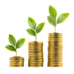 Aufkleber - Conceptual Representation of the Process of Wealth Accumulation Showcasing Stacks of Shiny Golden Coins on a Transparent Background to Symbolize Financial Growth and Prosperity