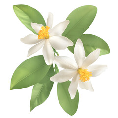 Poster - A stunning closeup photograph showcasing the intricate beauty of a citrus flower with pure white petals a glowing yellow pistil and beautifully textured green leaves