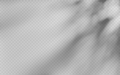 Wall Mural - abstract shadow overlay from foliage on a transparent background.