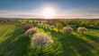 © Stefan Schurr - Orchard meadow with blooming trees at sunset in spring