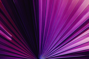 Fototapete - abstract purple palm leaf texture, dark green foliage nature background.