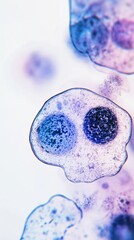 Wall Mural - close-up view of a group of cells with cell membrane and cytoplasm
