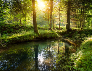  Generated image　森の泉