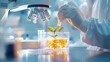 © Kultawatch - Plant-Based meal and Burger with Scientist Examining Concept. Laboratory Research with Plant Tissue Culture Techniques