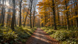 © Nicole - Woodland walk in the new forest in Autumn