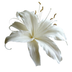 Aufkleber - beautiful white flower with delicate petals and intricate details, showcasing its elegant structure and soft texture, perfect for floral arrangements or decorative purposes