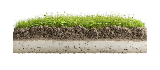 cross section of soil layer with grass on transparent background