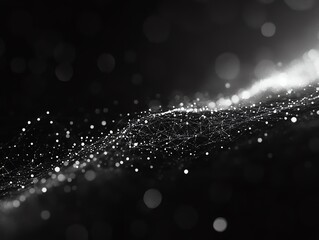 Wall Mural - abstract black and white network data wave background