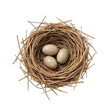 © ปริยาภัทร บุญรอด - Natural bird nest with speckled eggs, cozy setting, symbolizing new beginnings and growth, perfect for eco-themed projects. Isolated on white background or PNG