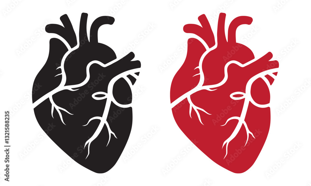 Anatomical heart vector illustration – black and red human heart ...
