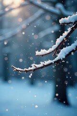 Wall Mural - Snowflakes gently fall onto a bare tree's limbs, peaceful, snowflakes, serene