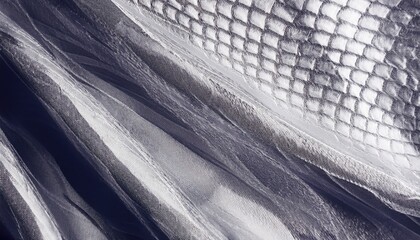 Poster -  abstract close-up of translucent textured fabric with organic linear patterns in monochrome tones for modern design