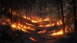© Escapefrommm - Forest fire ravaging woodland area nature scene dramatic environment aerial view environmental crisis