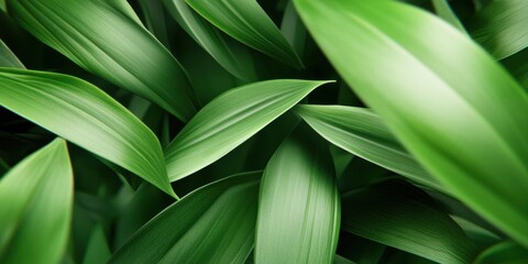 Leinwandbilder - Botanical Minimalism Serene Green Macro Foliage Texture - Eco-Conscious Design Inspiration for Sustainable Wellness Branding and Digital Content