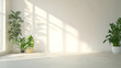 © Fadil - Bright White Minimalist Interior With Potted Plants And Natural Sunlight From A Window Illuminating The Room