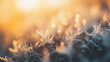 © Ventura - The image shows snowflakes on a tree branch with the sun shining through them