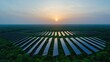 © Nattawat - Solar Energy Array: A vast array of solar panels captures the radiant sun's energy, transforming it into a sustainable power source, signifying a commitment to a greener future.