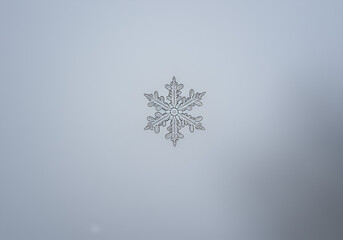 Wall Mural - A perfectly symmetrical snowflake caught mid-air against a soft gray winter sky