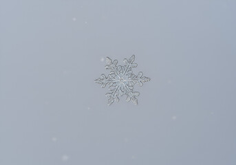 Wall Mural - A perfectly symmetrical snowflake caught mid-air against a soft gray winter sky