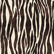 © Sally Anscombe/Stocksy - Zebra print repeat pattern illustration