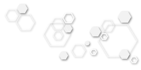 Wall Mural - Abstract white and grey color hexagonal geometric background with copy space.Abstract white and gray hexagon technology lines background.Abstract white lines background.


