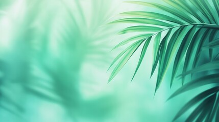 Aufkleber - Blurry tropical background with green and teal palm leaves creating a fresh and adventurous atmosphere