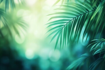 Aufkleber - Tropical paradise with blurred palm leaves creating a fresh and adventurous atmosphere in a serene green and teal setting