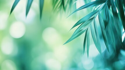 Leinwandbilder - Tropical greenery with blurred palm leaves in vibrant green and teal creating a fresh atmosphere for relaxation and adventure