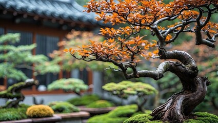 Aufkleber - Bonsai tree with rich orange and green foliage set against a blurred traditional Asian garden background showcasing delicate branches and varied textures.