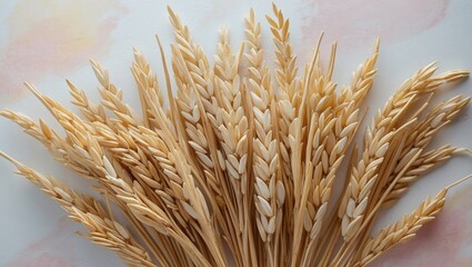 Aufkleber - Dried rice leaves in various shades of beige arranged artfully against a soft white pastel background showcasing texture and elegance.
