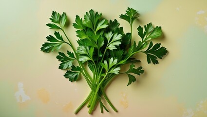 Leinwandbilder - Fresh green parsley leaves arranged neatly on a soft pastel background with hints of yellow and blue creating a calm culinary atmosphere.
