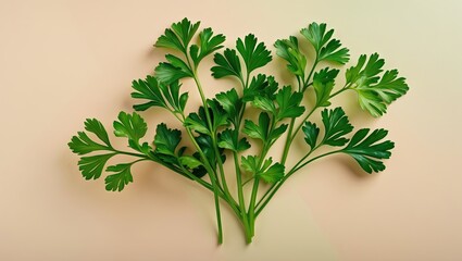 Poster - Fresh green parsley leaves arranged artfully on a soft pastel beige background, showcasing vibrant green hues and detailed leaf textures from a top view.