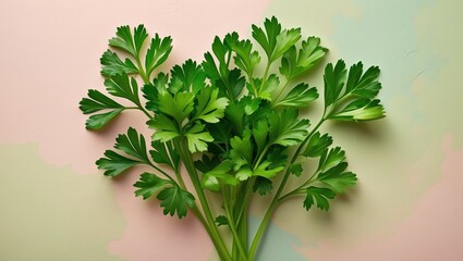 Leinwandbilder - Fresh green parsley leaves arranged artistically on a soft pastel background in shades of pink and pale green, captured from a top view.