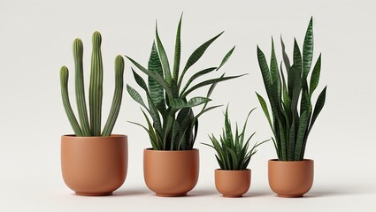 Poster - Modern botanical arrangement of potted snake plants and cactus in terracotta pots featuring varied heights and lush green foliage on minimalist background.