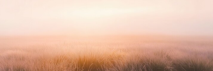 Poster - Serene lavender field at sunrise with soft mist and golden light creating a peaceful atmosphere in muted pastel tones