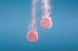 © Marc Tran/Stocksy - Effervescent Pink Tablets Dissolving in Water on Blue Background