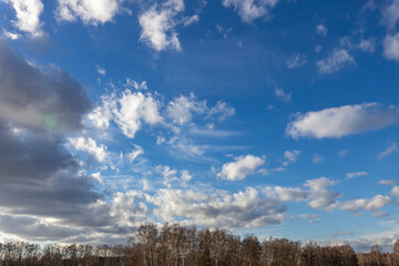 Wall Mural - clouds over the forest