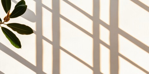 Poster - Minimalist Botanical Shadow Play Elegant Leaf Silhouette with Soft Natural Light - Contemporary Design Aesthetic for Wellness and Lifestyle Branding