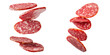 © LOMOSONIC - Slices of salami floating against transparency background, showcasing texture
